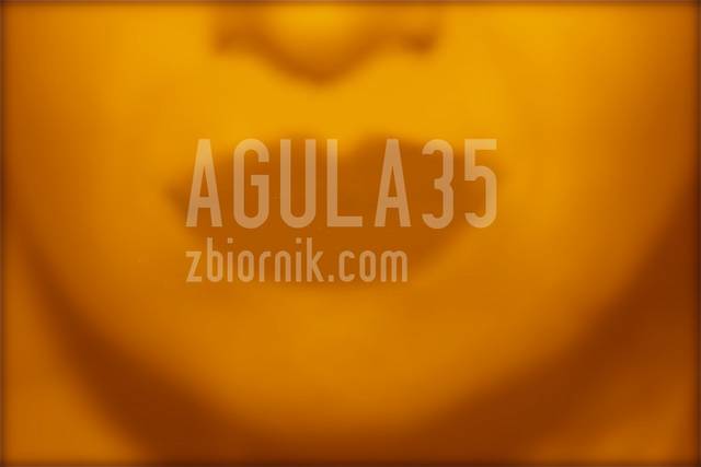 ;) - agula35