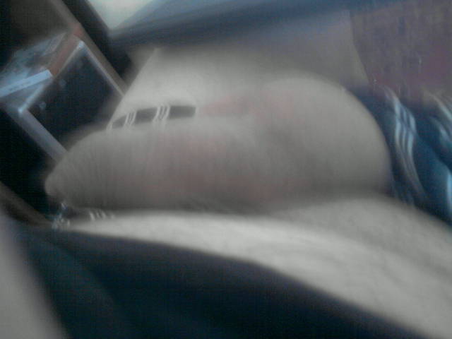 P061010_12.55_[01].jpg - brodacz89