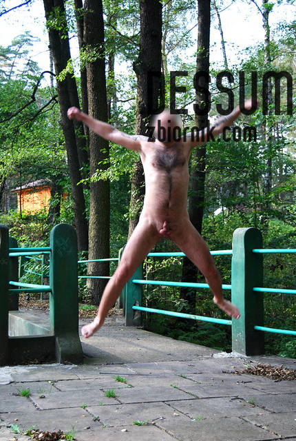 widziane z lotu ptaka - dessum