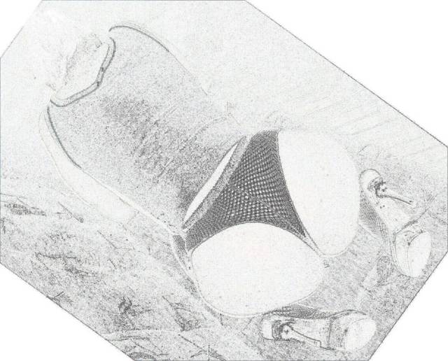 IMG_2111.JPG - mokra1