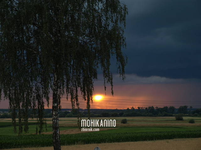 Dla bratniej duszy:-) - Mohikanin0