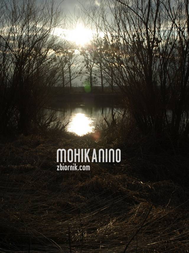 Mohikanin0