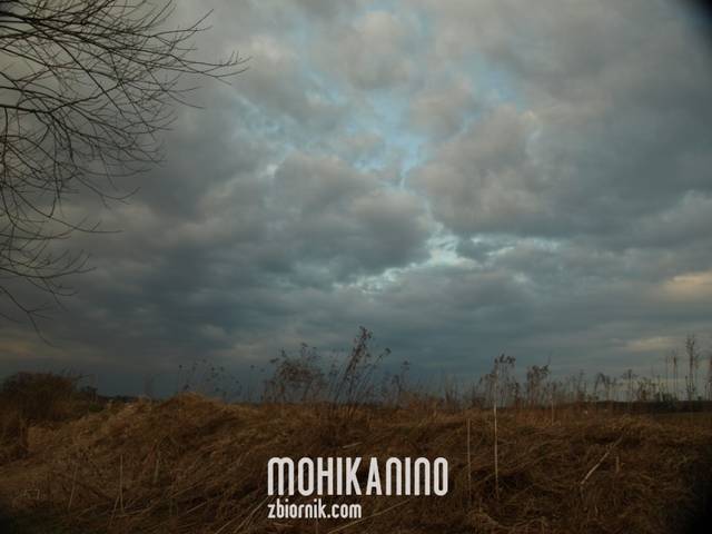 Mohikanin0