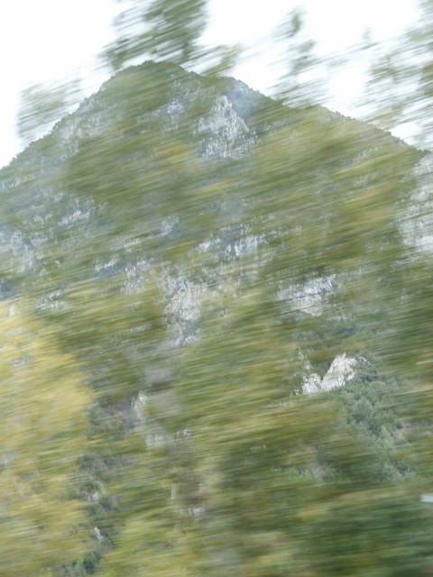 świat zawirował... - sjkp