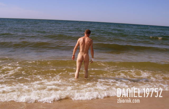 tyłek misia - daniel19752