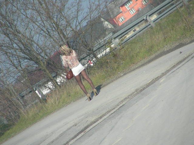 ssak leśny - mobilek1981