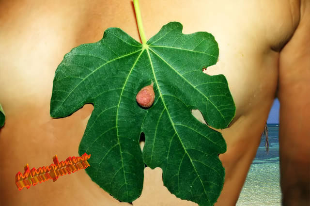 Ewa w raju - adamplusewa