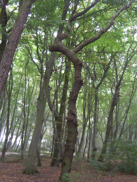 pict0646.jpg - cartagina