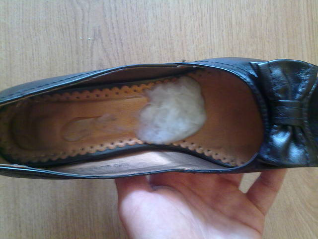 nie mogłem się powstrzymać - donald20