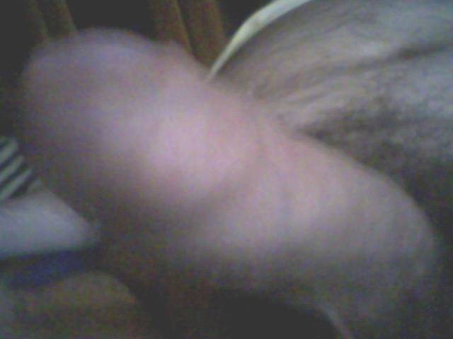 Zdjęcie0247.jpg - karamba1973