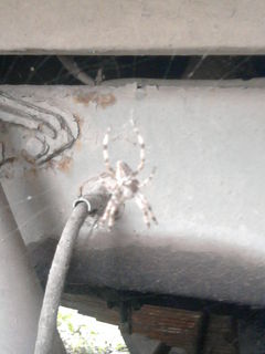 z kim ja pracuję...