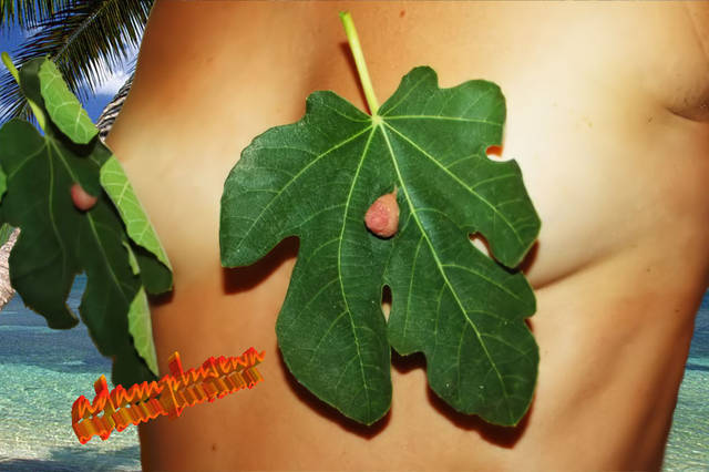 Ewa w raju - adamplusewa