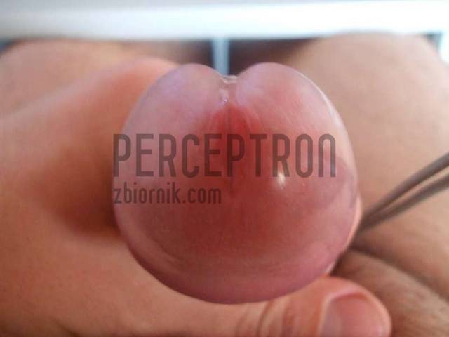 DSCF0017-800.jpg - perceptron