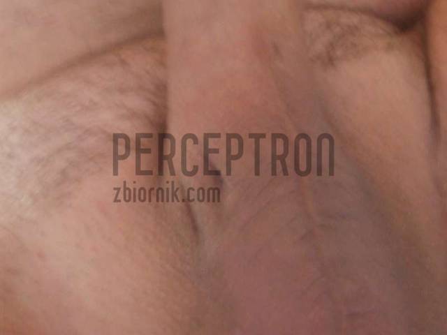 DSCF0021-800.jpg - perceptron