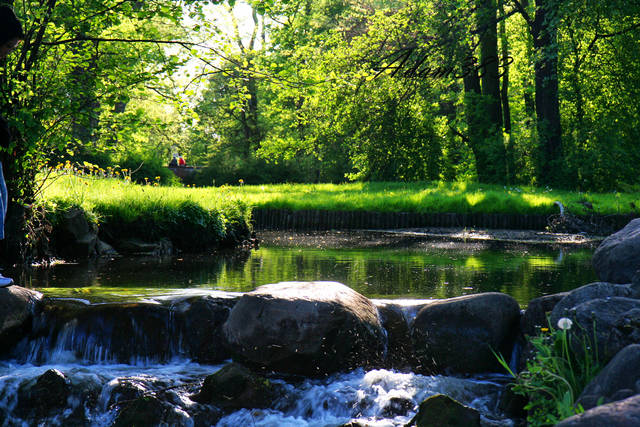 Wilanów0.jpg - adam383