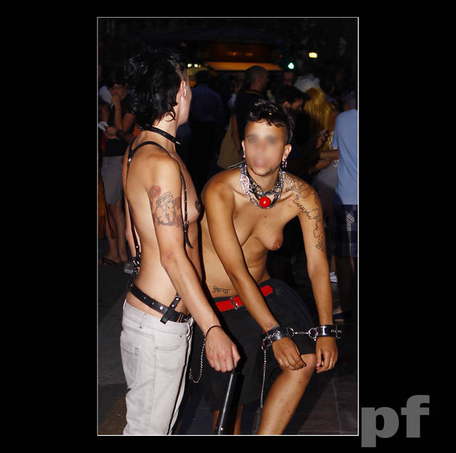 BARWY ŻYCIA - IV - panfoto