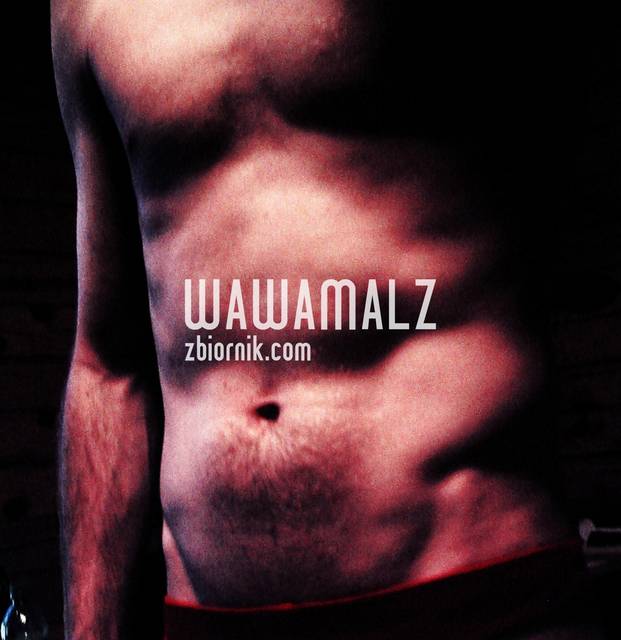 Meski Pornart - Wawamalz