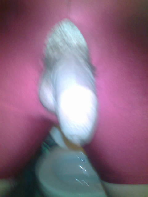 Zdjęcie0066.jpg - spandexman