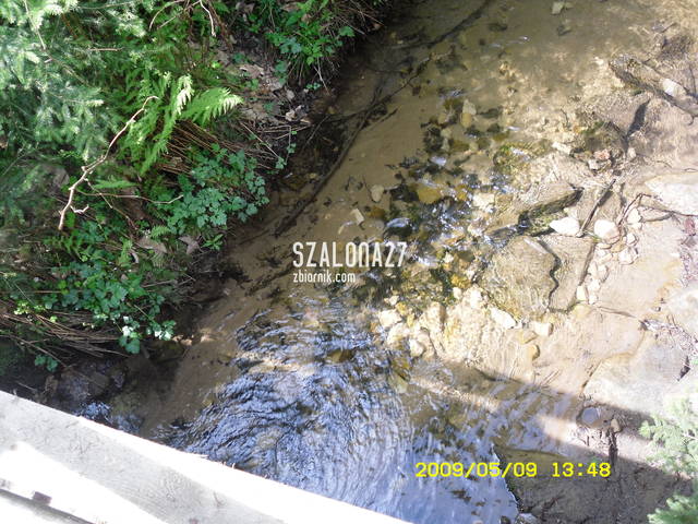 strumień - szalona27