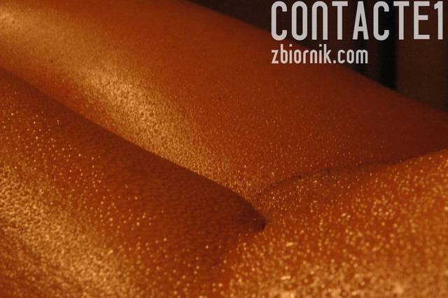 DSC_5661.JPG - contacte1