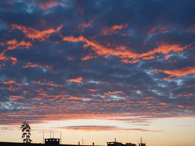 Dla Dorotki i Marka :D:D - wachamkwiatki