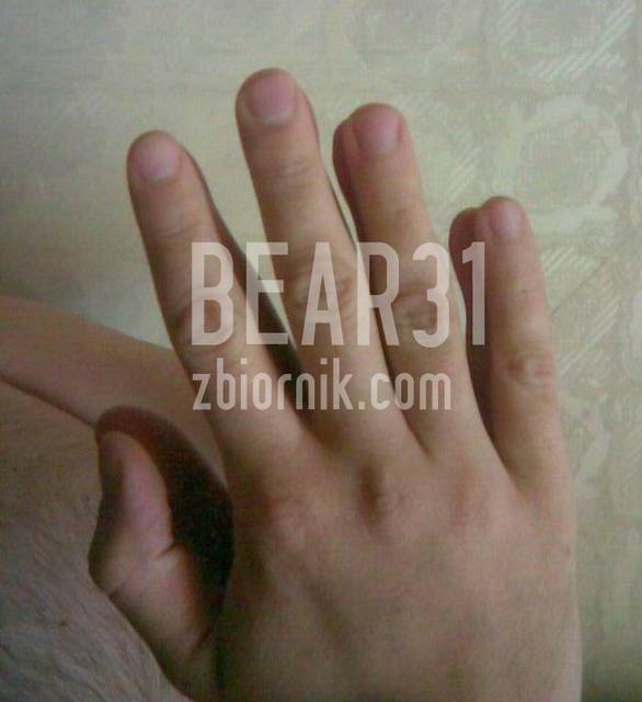 łapki - bear31