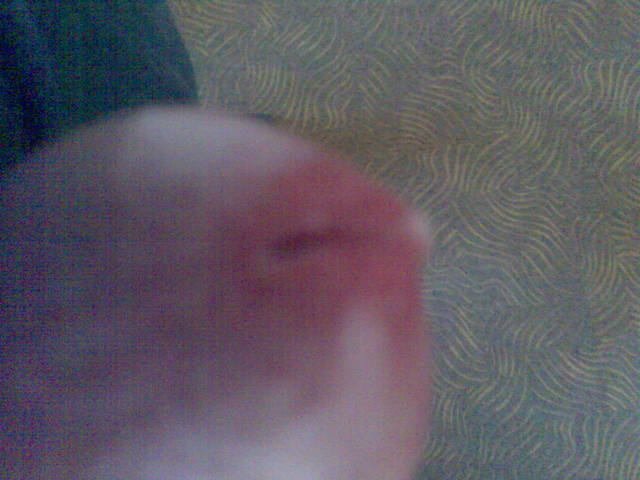 została kropelka do wylizania.jpg - filpol1