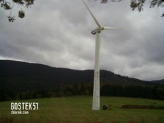 PIC_0546.JPG