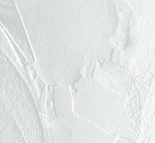 20101129098 net.jpg - joja40