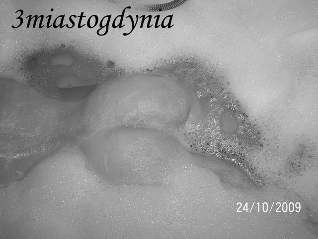 pupcia - 3miastogdynia