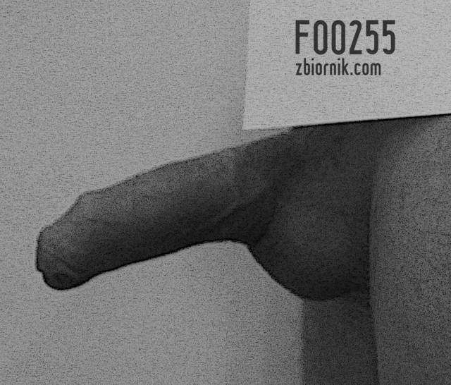 profilowe - Foo255