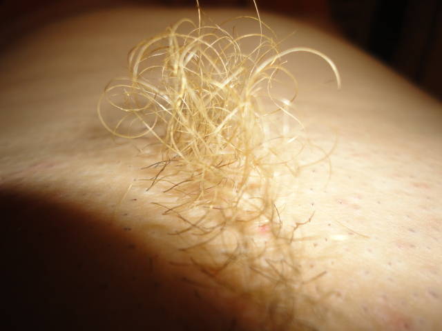 czuprynka - robert72