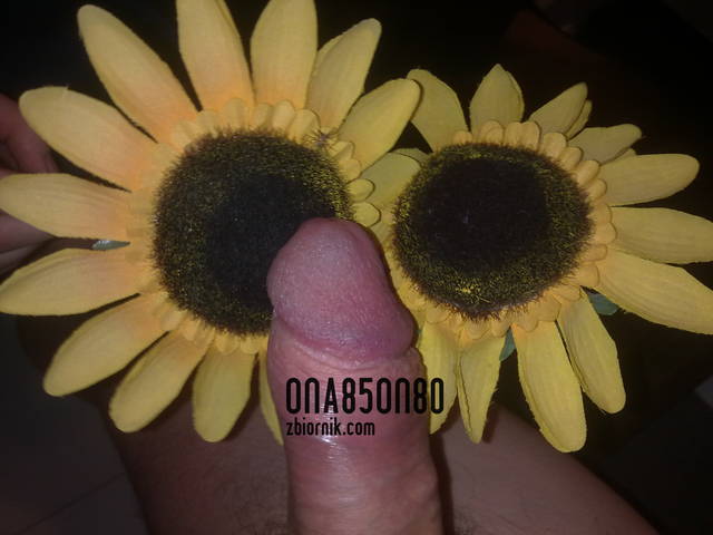 20110212118.jpg - ona85on80