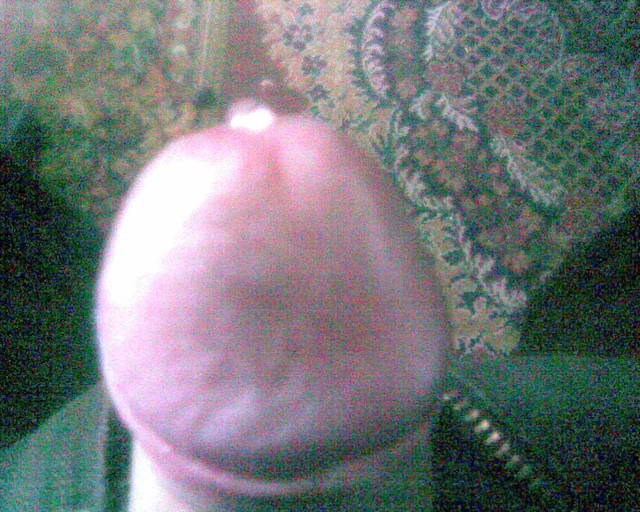 Zdjęcie007.jpg - pit150