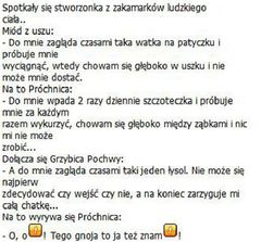 na poprawe humoru:)