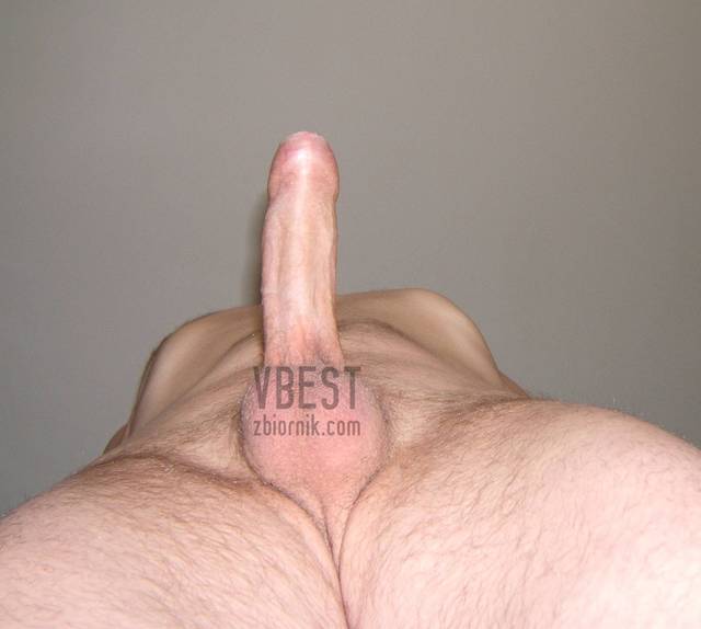 01.jpg - vbest