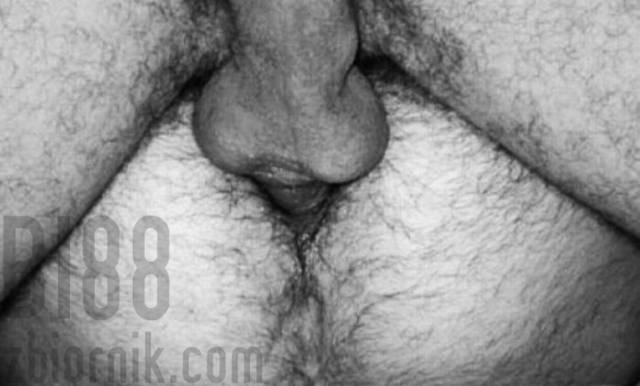 Jako pasyw :) - bi88