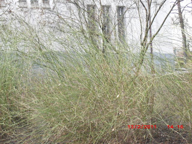 zdjecja 048.jpg - czlowiekmaska