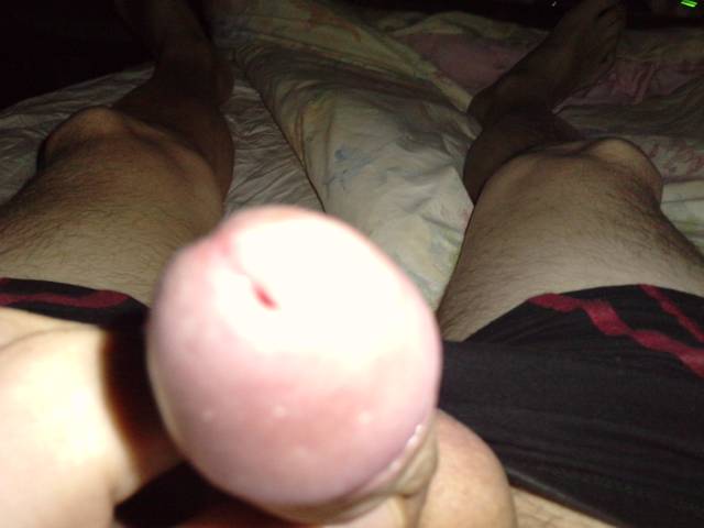 P220311_22.220002.JPG - jaras33