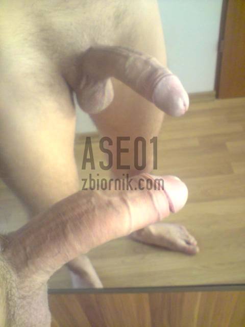 P270311_14.07.JPG - ase01