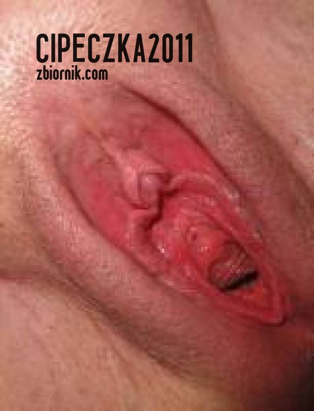 cipeczka2011