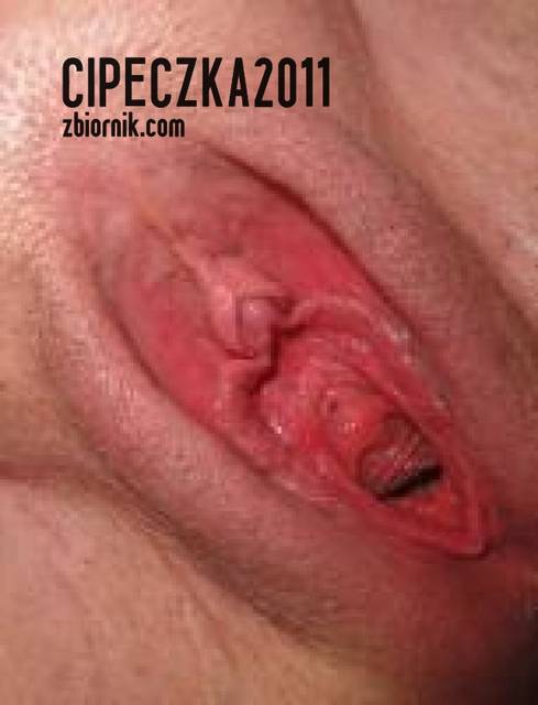 4800412(2).jpg - cipeczka2011