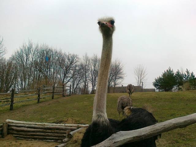 Szerokie horyzonty - cartagina