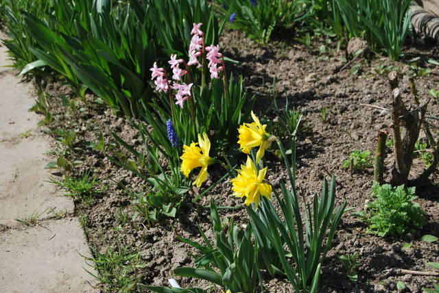 DSC_0614.JPG - baandytyy