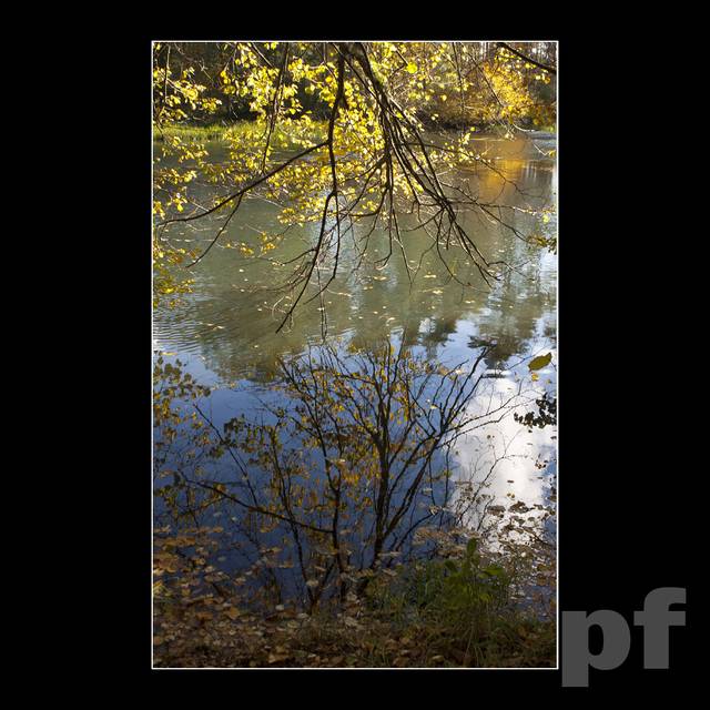 ŚWIATŁOCZUŁOŚĆ - panfoto