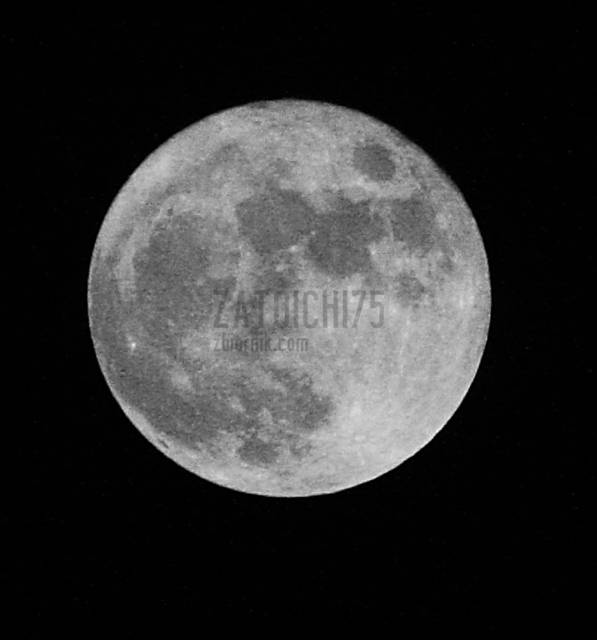 IMG_0273.jpg - zatoichi75