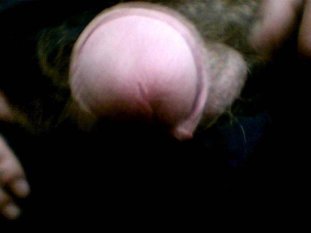 adam - adammajchrzak62