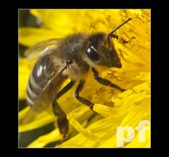 Z KWIATKA NA KWIATEK