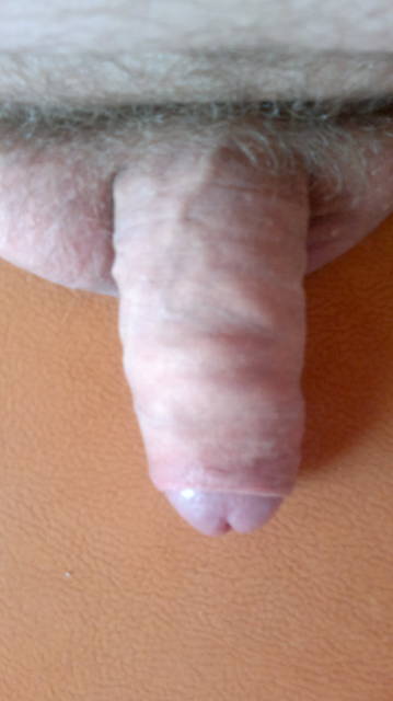 20110511024.jpg - donet