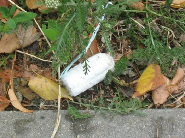 tampon - Kinga_